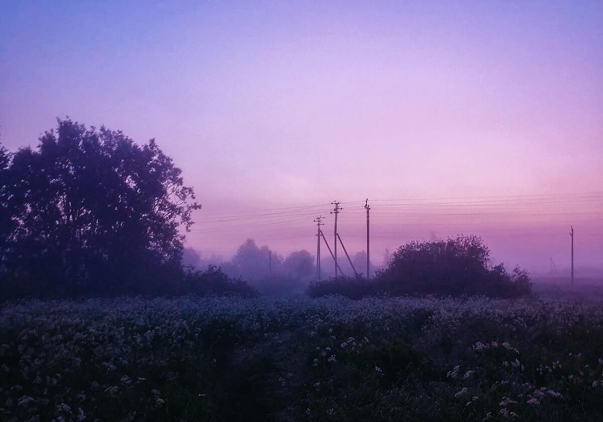 Pixiv深度揭秘:爆料风波背后,神秘人在记者发布会的角色疯狂令人意外