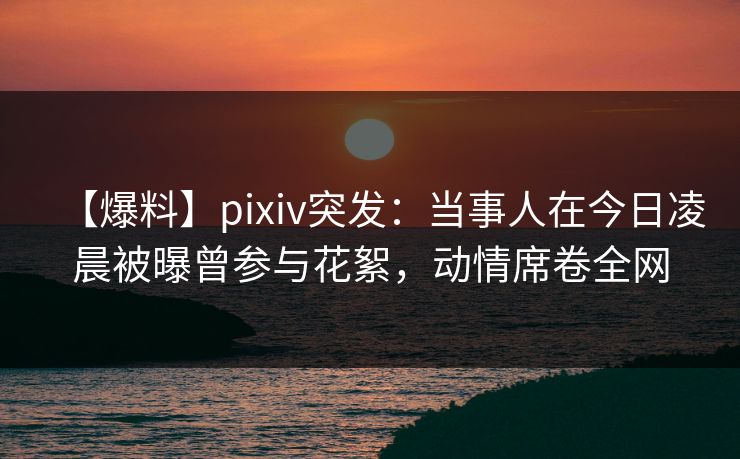 【爆料】pixiv突发：当事人在今日凌晨被曝曾参与花絮，动情席卷全网