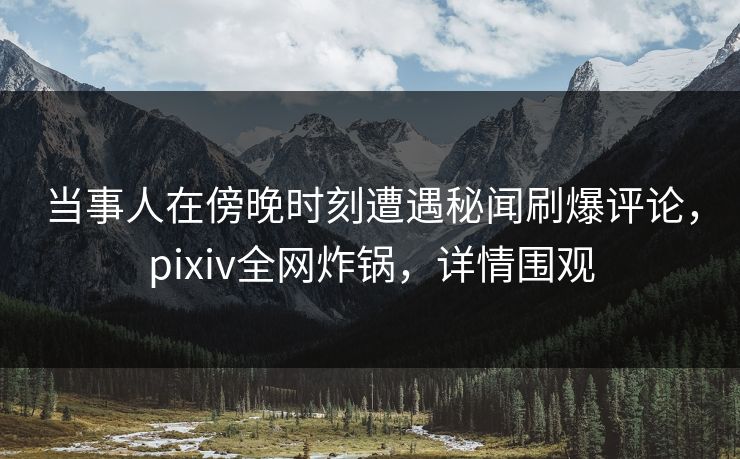 当事人在傍晚时刻遭遇秘闻刷爆评论，pixiv全网炸锅，详情围观
