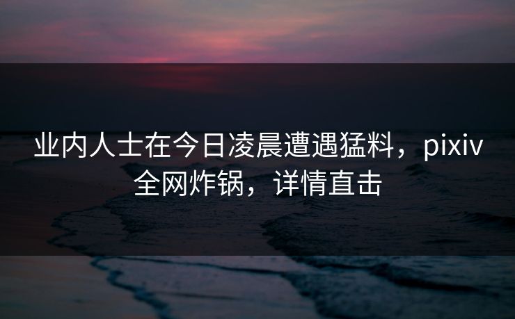 业内人士在今日凌晨遭遇猛料，pixiv全网炸锅，详情直击